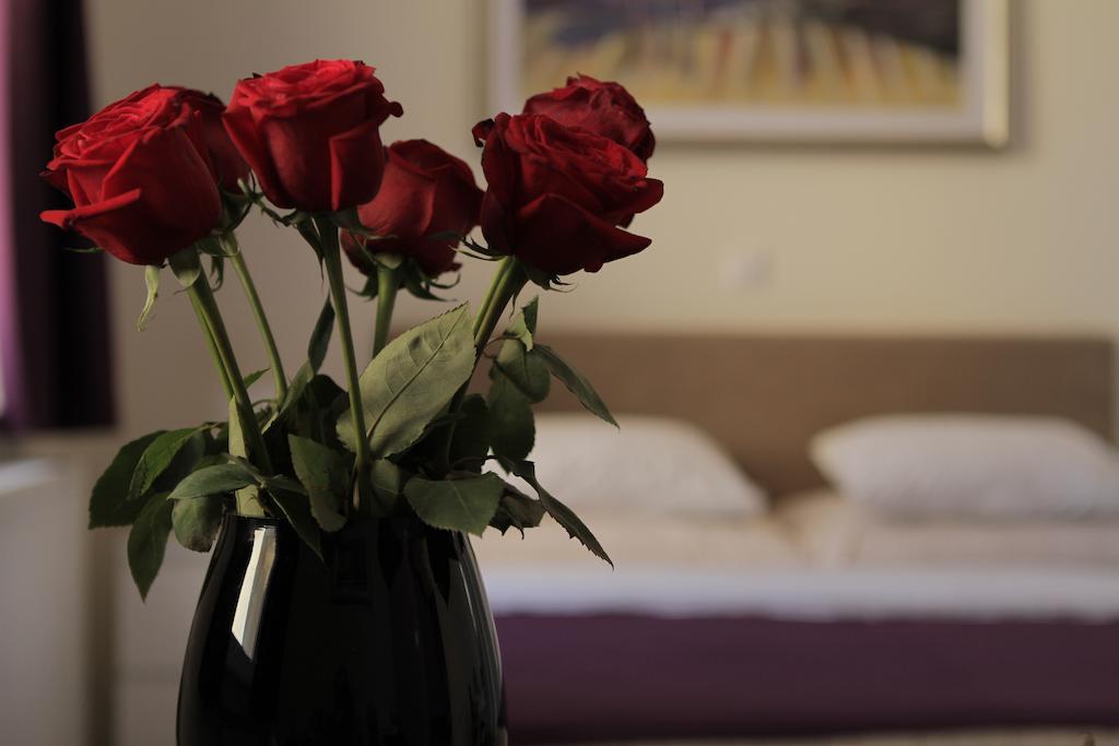 Studio Dolac Centar Zagreb Ngoại thất bức ảnh
